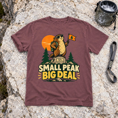 Small Peak Big Deal Graphic Tee on Brick Premium Tee